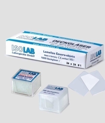 Lamel